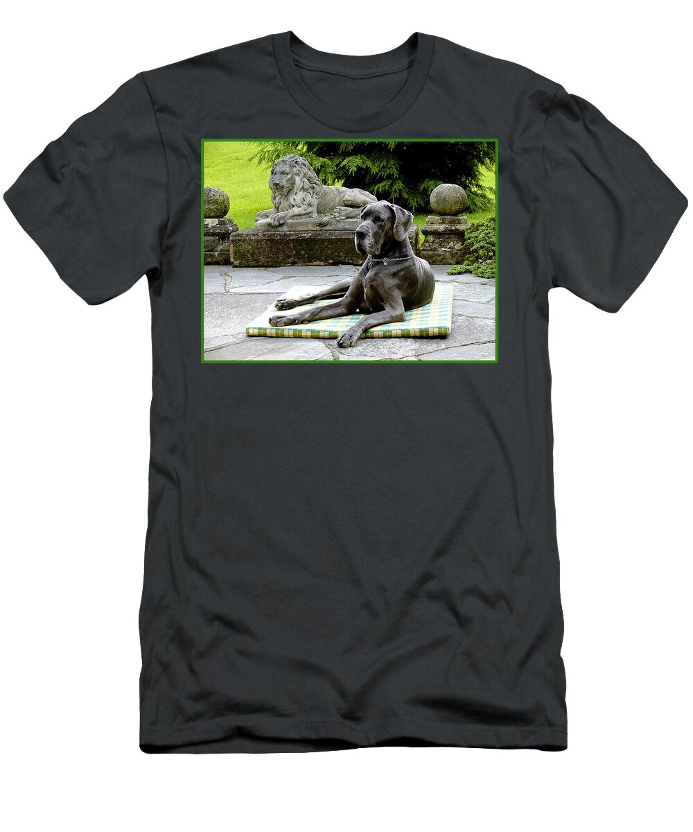 Dog T-Shirt featuring the photograph Two Lions by Barbara Zahno