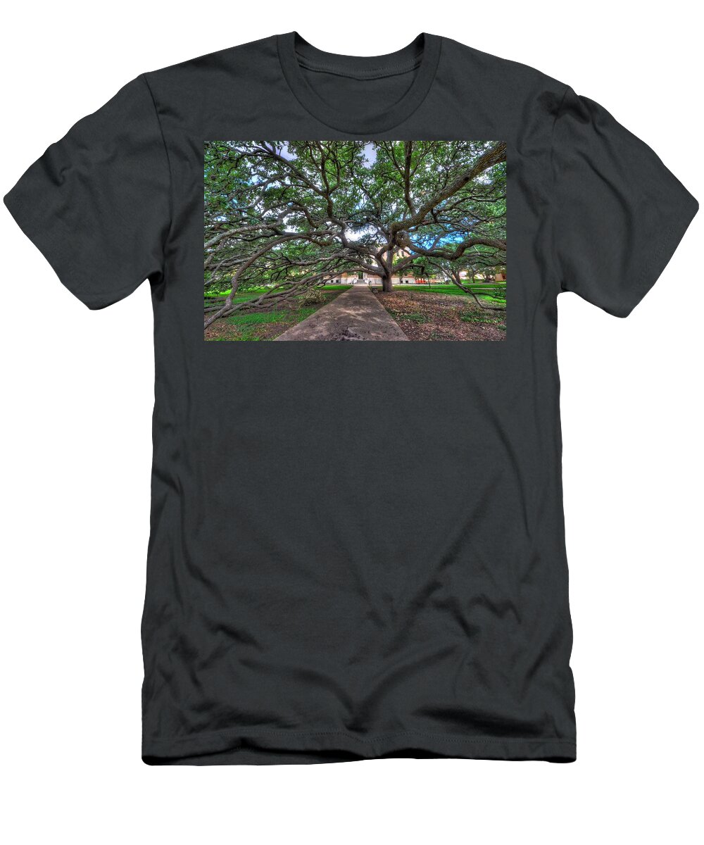 Century Tree T-Shirt featuring the photograph Under the Century Tree by David Morefield