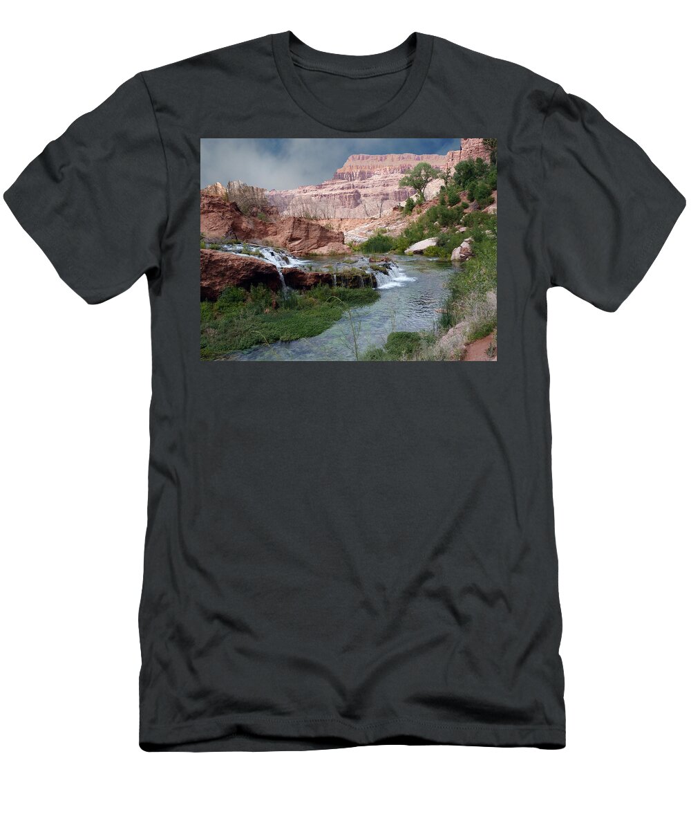 Navajo T-Shirt featuring the photograph Unspoiled Waterfall by Alan Socolik
