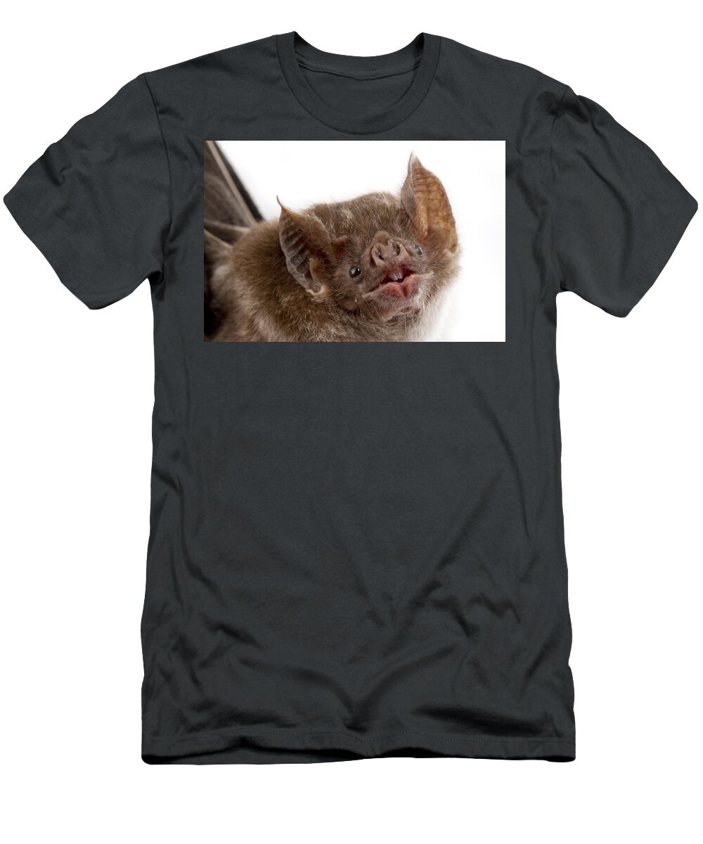 Feb0514 T-Shirt featuring the photograph Vampire Bat Suriname by Piotr Naskrecki