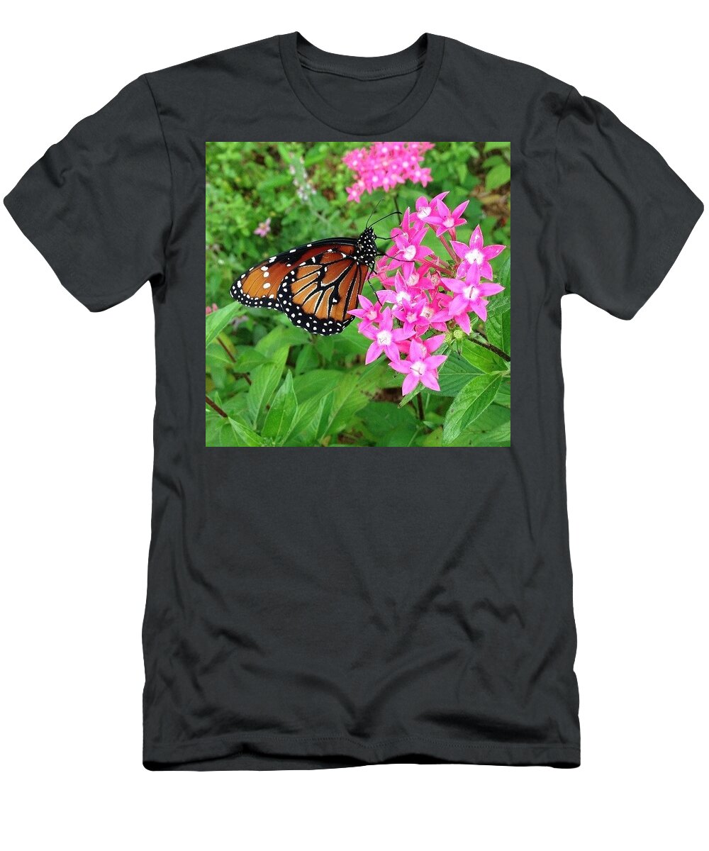 Butterfly T-Shirt featuring the photograph Viceroy Butterfly by Katie Cupcakes