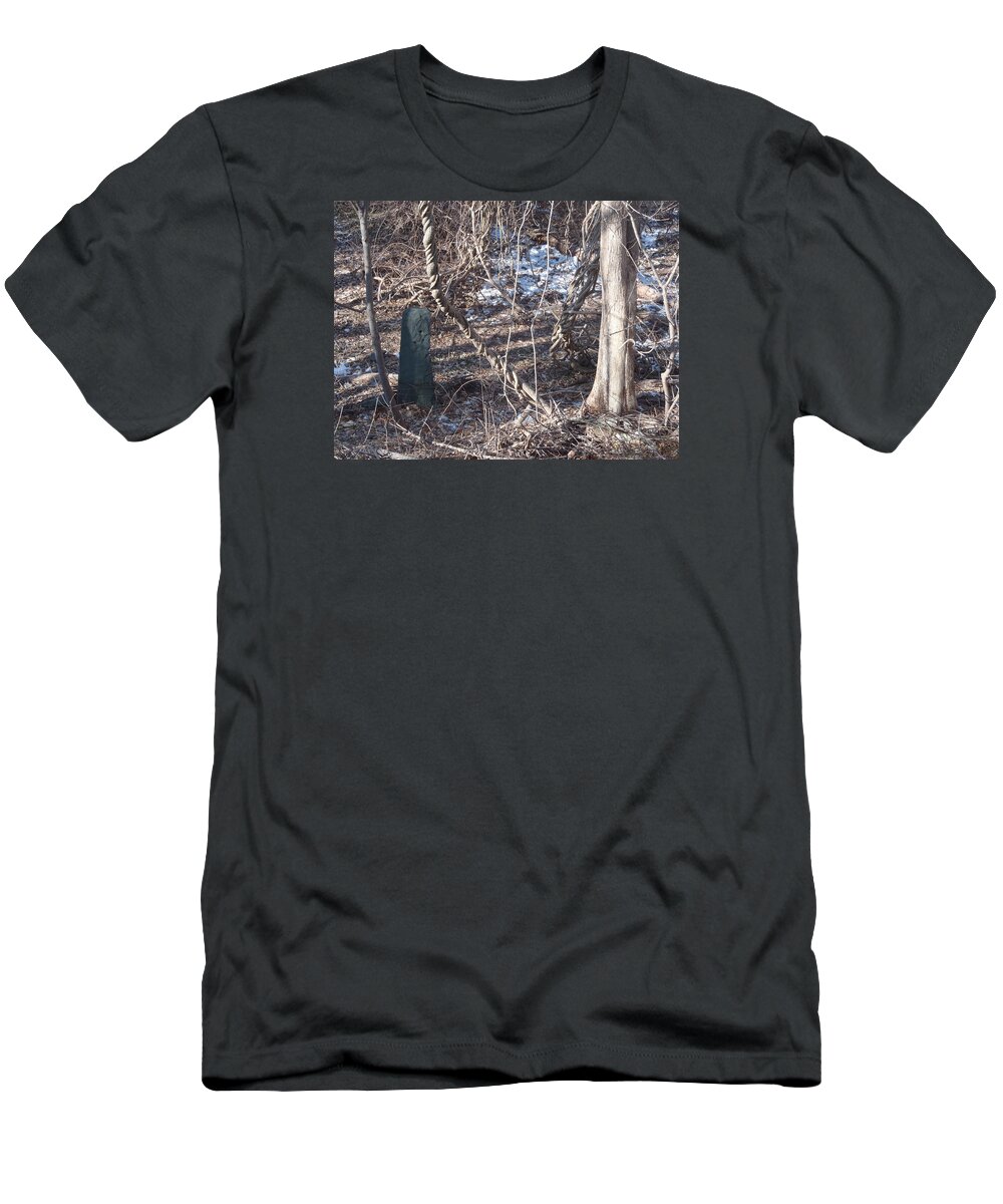 Landscape T-Shirt featuring the photograph Vine N'Stone by Robert Nickologianis