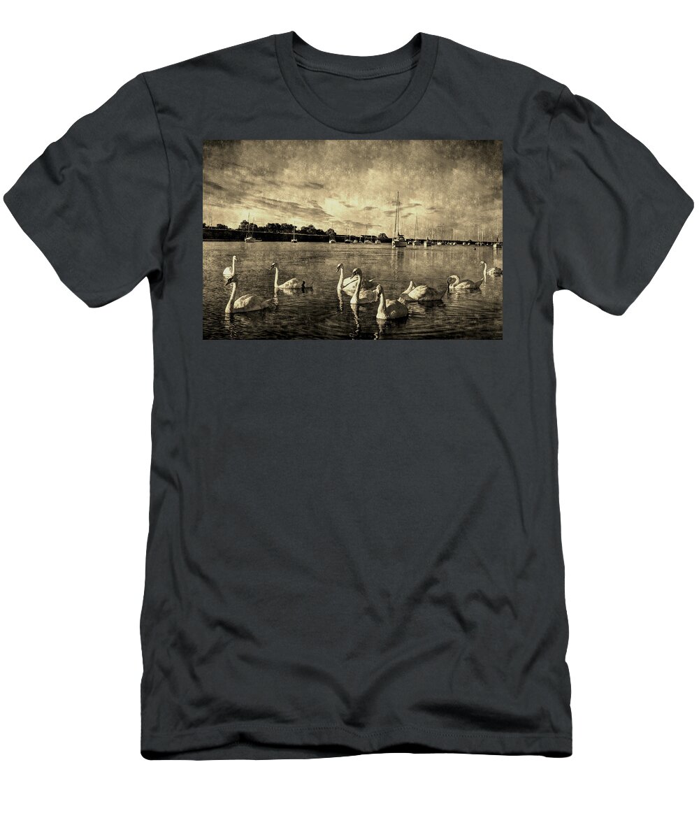 Swans T-Shirt featuring the photograph Vintage Swans by David Pyatt