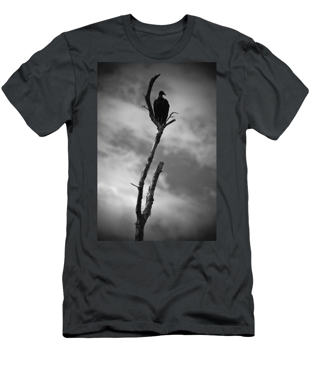 Everglades T-Shirt featuring the photograph Vulture Silhouette by Bradley R Youngberg