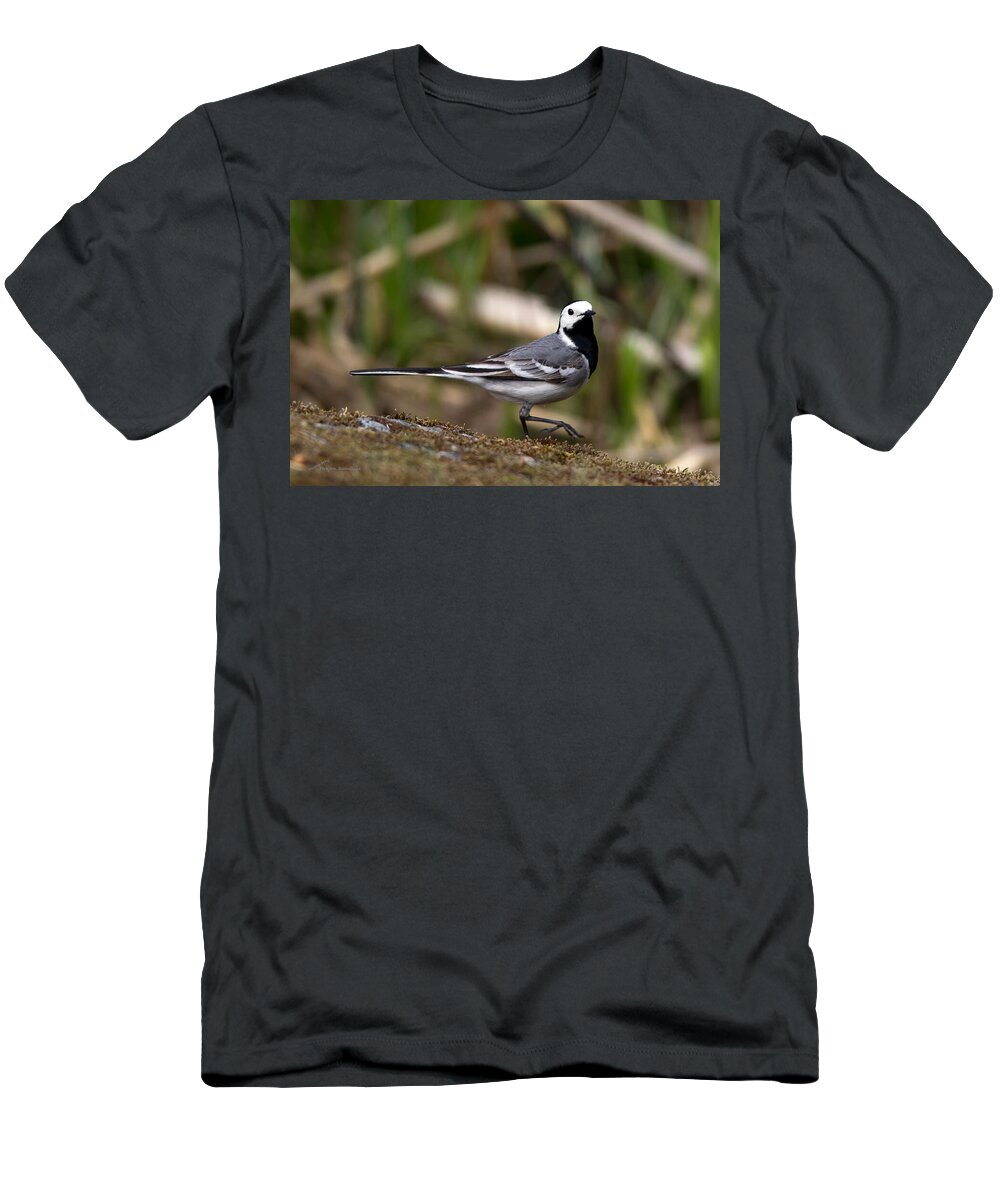 Wagtail's Step T-Shirt featuring the photograph Wagtail's step by Torbjorn Swenelius