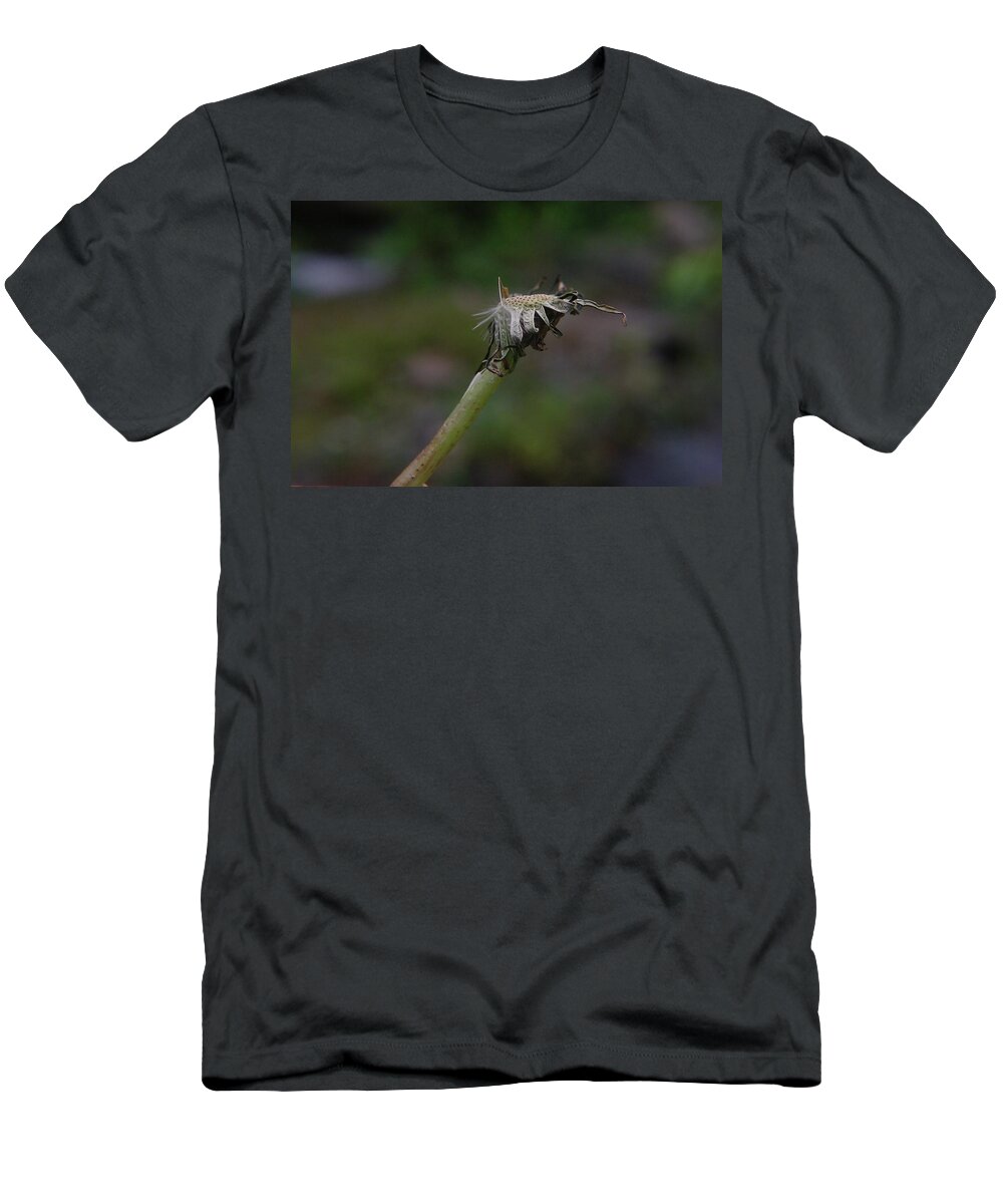 Seeds T-Shirt featuring the photograph Waiting For The One Last Gust by Jeff Swan