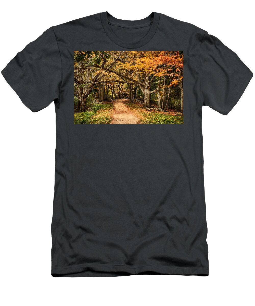 Autumn Foliage New England T-Shirt featuring the photograph Walk in the woods by Jeff Folger