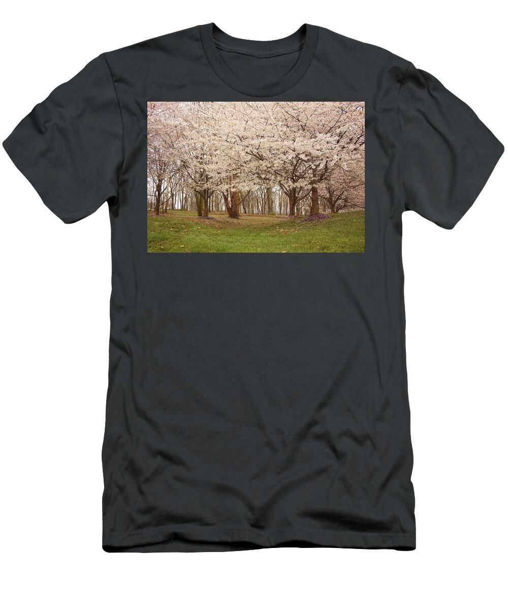 Flower T-Shirt featuring the photograph Washington DC Cherry Blossoms by Kim Hojnacki