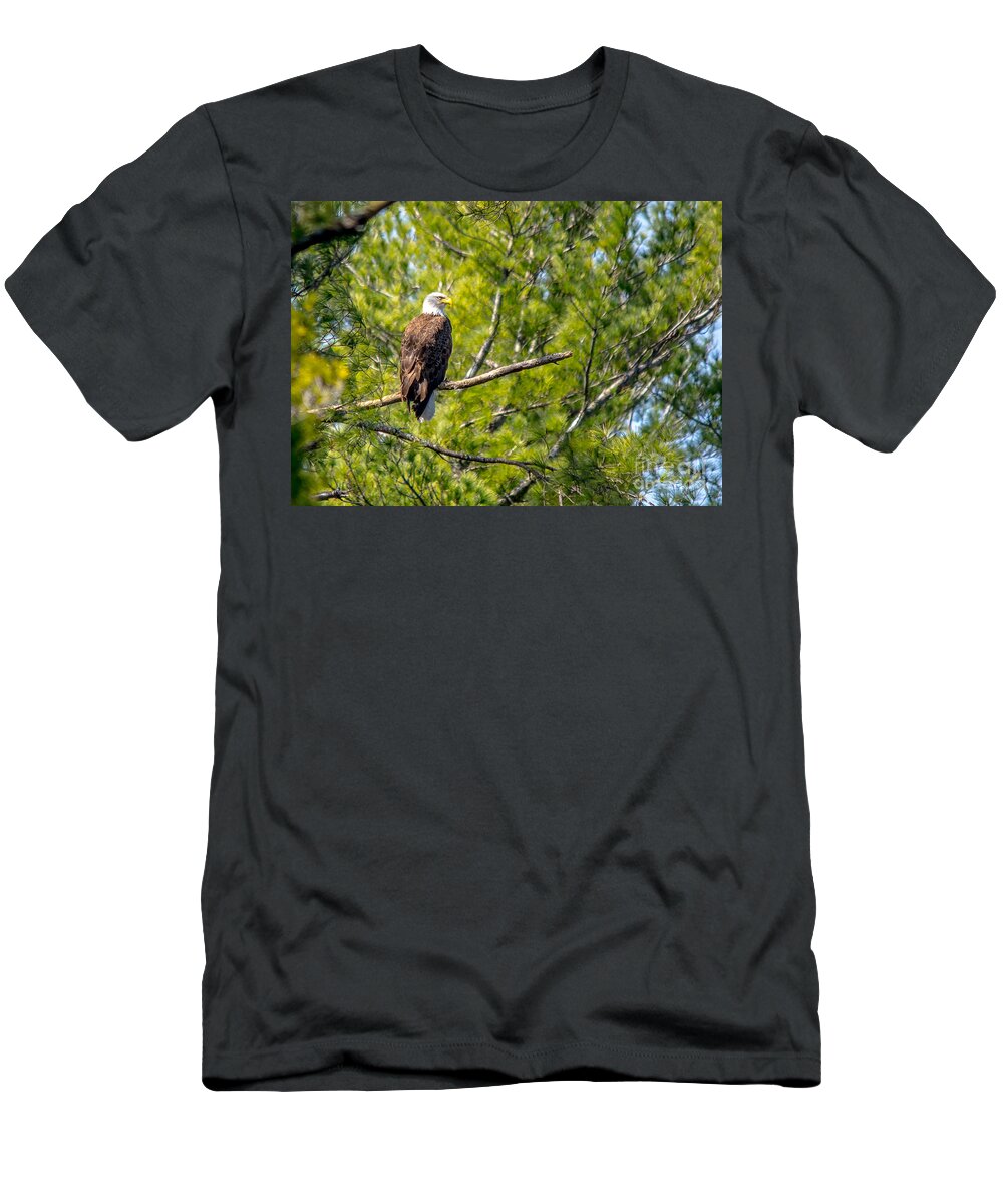 Landcape T-Shirt featuring the photograph Watching Eye by Cheryl Baxter