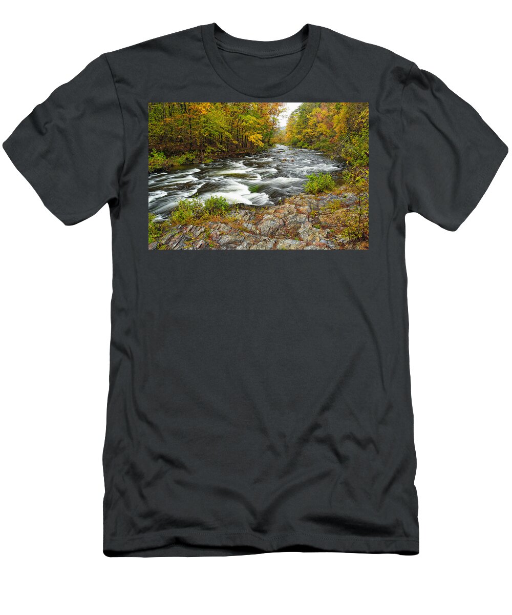 Beaver's Bend State Park T-Shirt featuring the photograph Watching it all go by at Beaver's Bend Broken Bow Fall Foliage Oklahoma by Silvio Ligutti