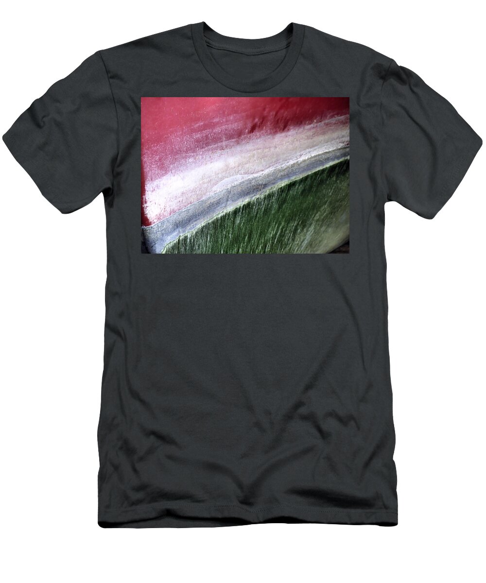 Stripes T-Shirt featuring the photograph Watermelon Colors by Janice Drew
