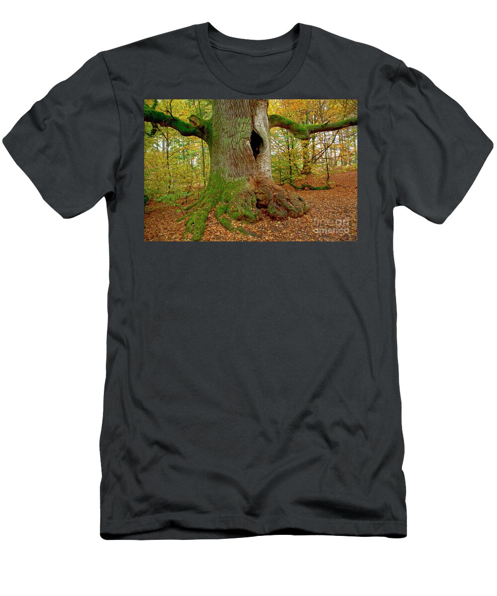 Tree T-Shirt featuring the photograph We are here since 1000 years 2 by Heiko Koehrer-Wagner