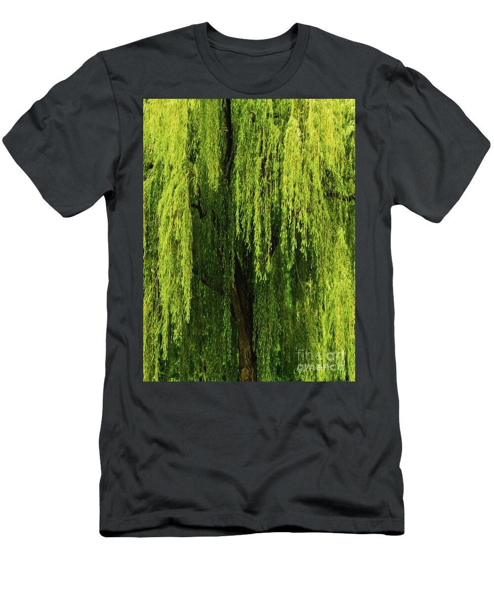 Weeping Willow T-Shirt featuring the photograph Weeping Willow Tree Enchantment by Carol F Austin