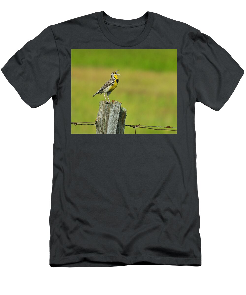 Western Meadowlark T-Shirt featuring the photograph Western Meadowlark by Tony Beck
