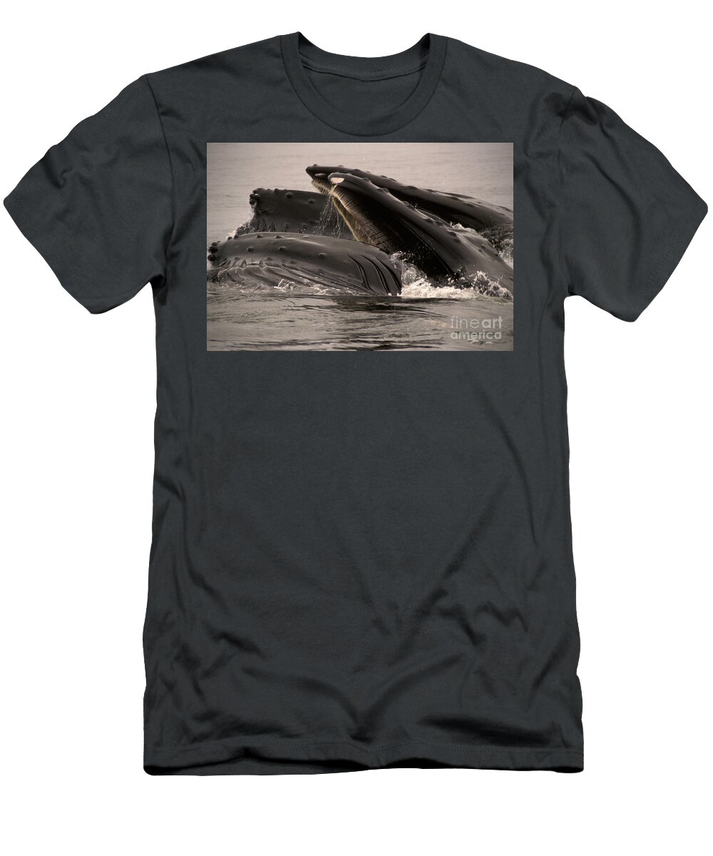 Animal T-Shirt featuring the photograph Whales Feeding by Ron Sanford
