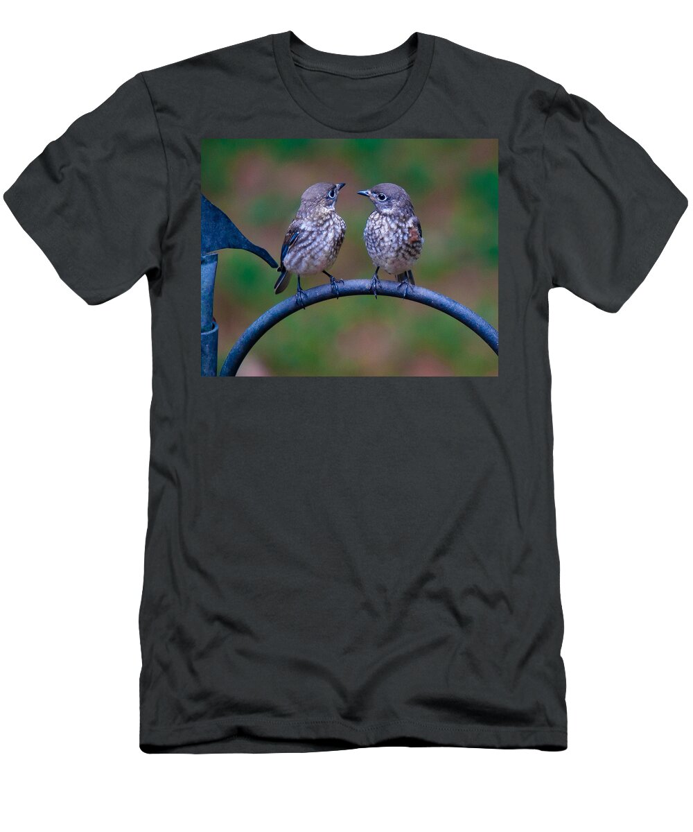Bluebird T-Shirt featuring the photograph When's Dad Coming Back? by Robert L Jackson