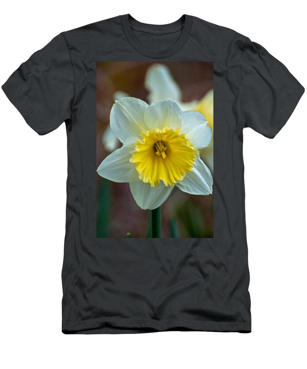 Passover Flower T-Shirt featuring the photograph White and Yellow Daffodil by Tikvah's Hope