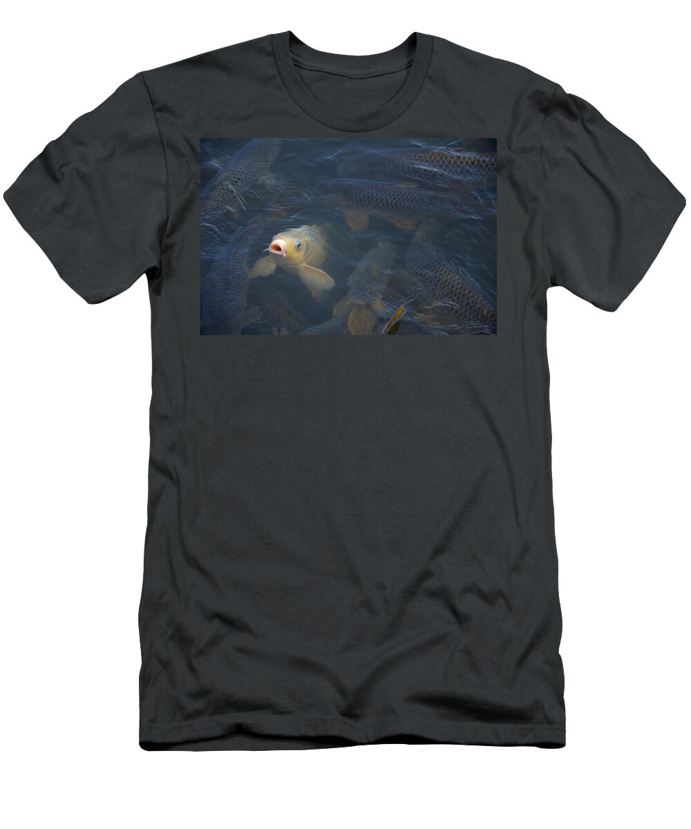 Fish T-Shirt featuring the photograph White carp in the lake by Flees Photos