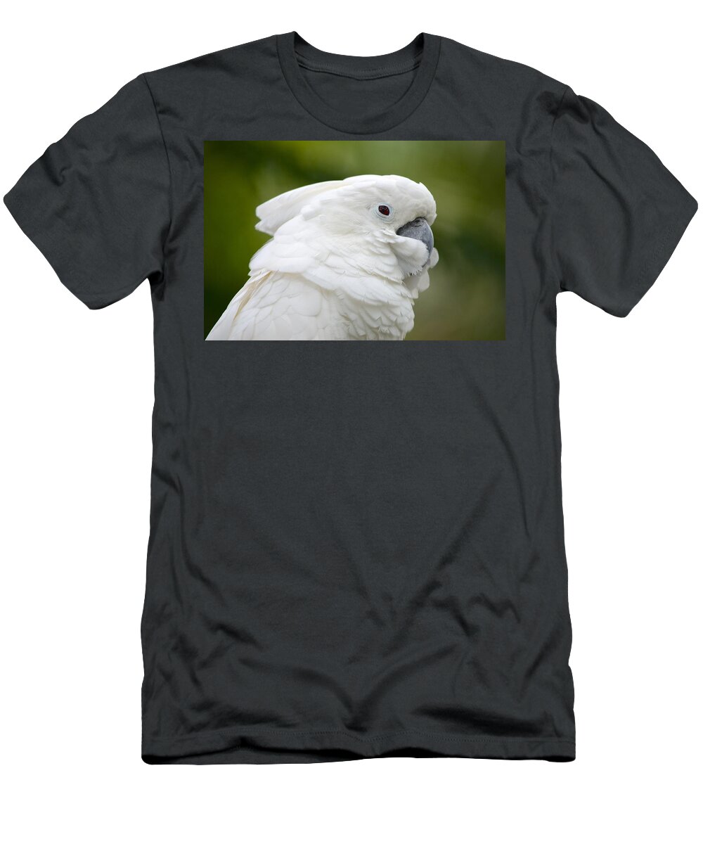 St. Augustine T-Shirt featuring the photograph White Cockatoo Profile by Richard Bryce and Family