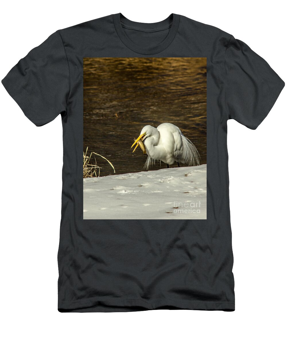 Animal T-Shirt featuring the photograph White Egret Snowy Bank by Robert Frederick
