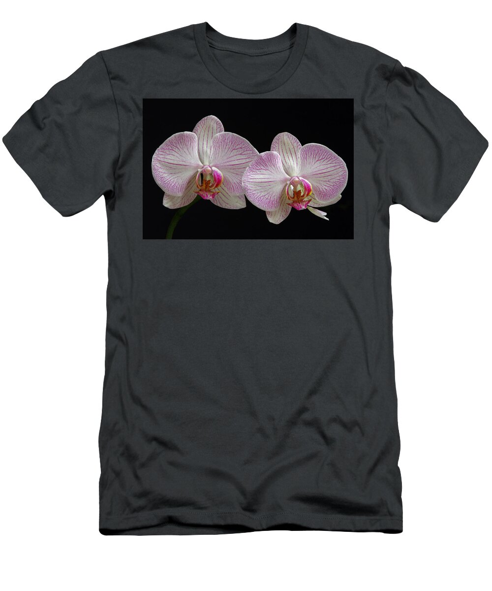 Orchid T-Shirt featuring the photograph White Orchids by Juergen Roth