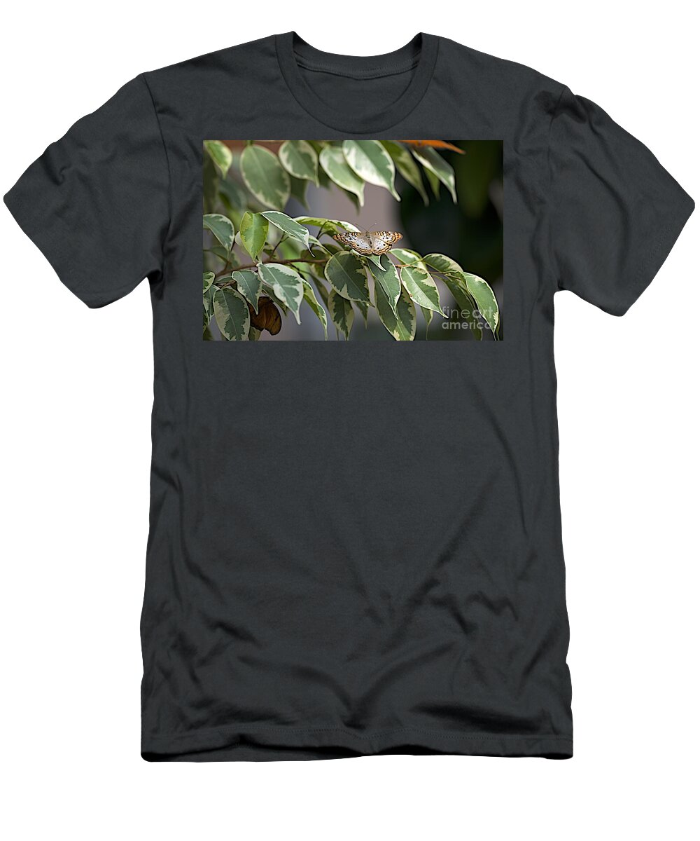 Anartia Jatrophae T-Shirt featuring the photograph White Peacock by Joseph Yarbrough