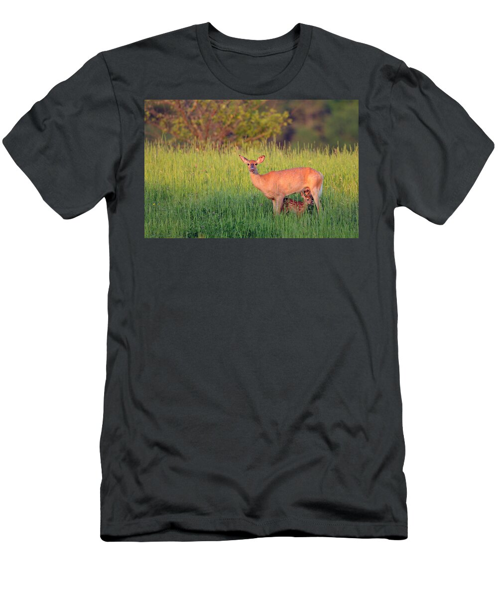 Deer T-Shirt featuring the photograph White-tail Doe And Fawn by Scott Linstead