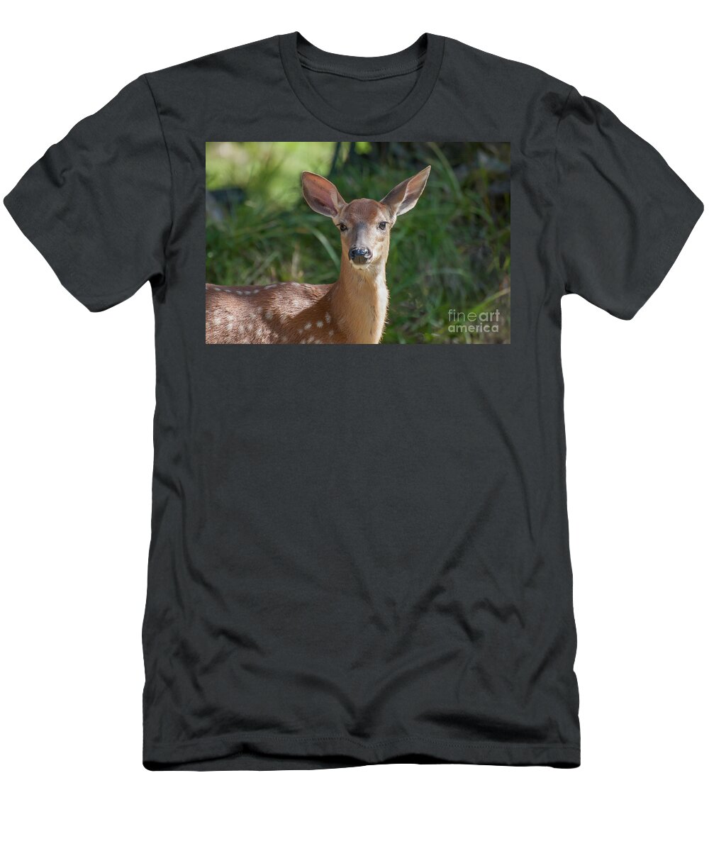 Fawn T-Shirt featuring the photograph White-Tailed Fawn by Bianca Nadeau