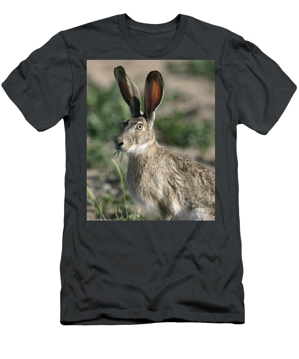 Who Me T-Shirt featuring the photograph Who Me ? Jackrabbit by Gary Langley