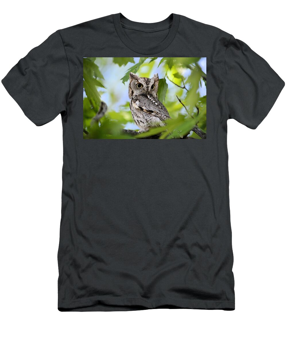 Owl T-Shirt featuring the photograph WHO was that by Bonfire Photography