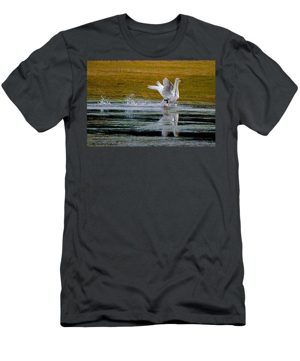 Whooper Swans T-Shirt featuring the photograph Whooper Swans by Torbjorn Swenelius