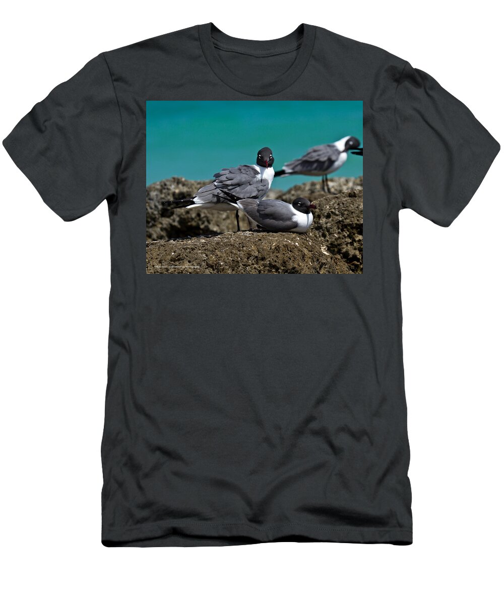 Sea Gull T-Shirt featuring the photograph Why you looking? by Robert L Jackson