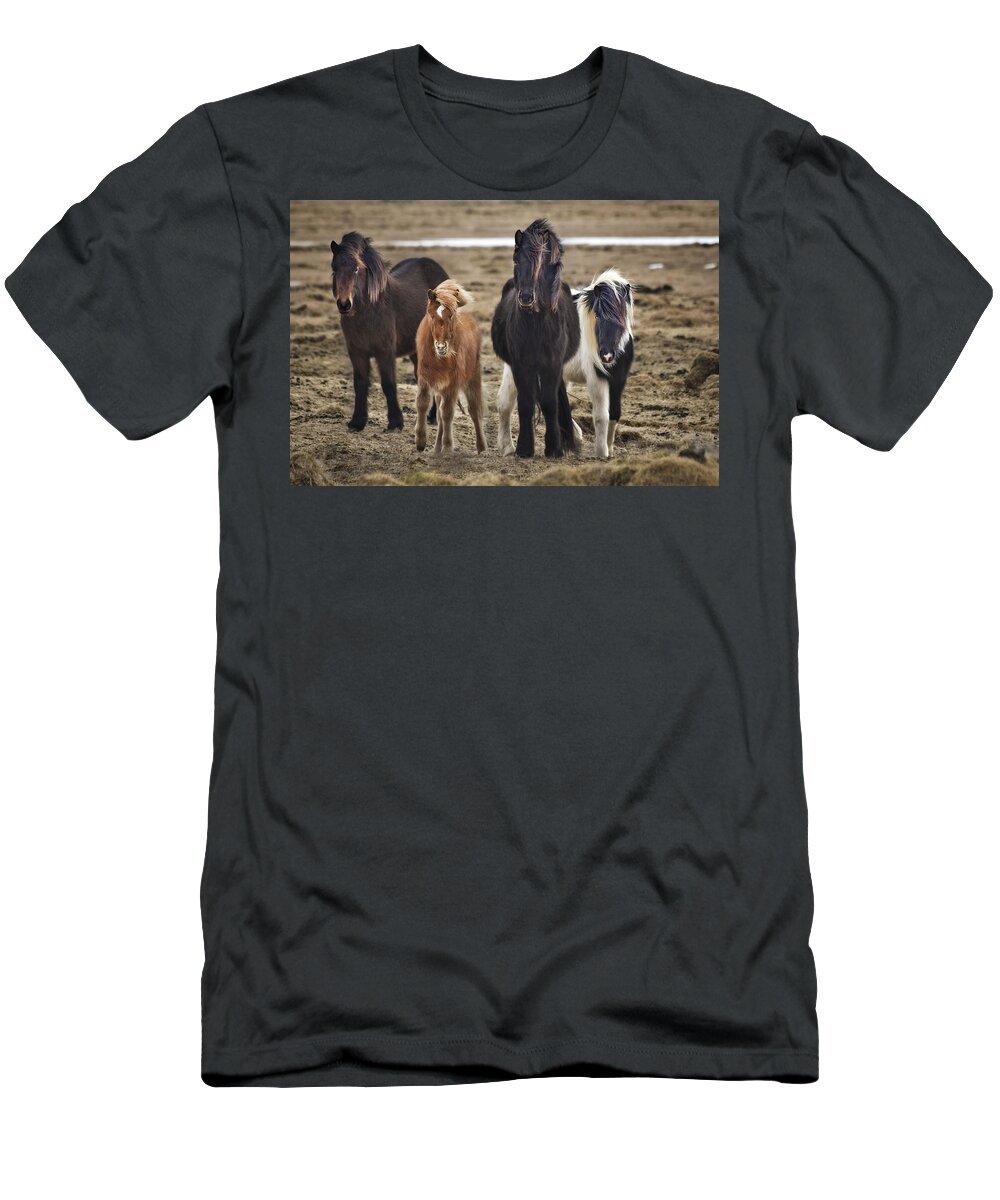 Iceland T-Shirt featuring the photograph Wild And Free by Evelina Kremsdorf