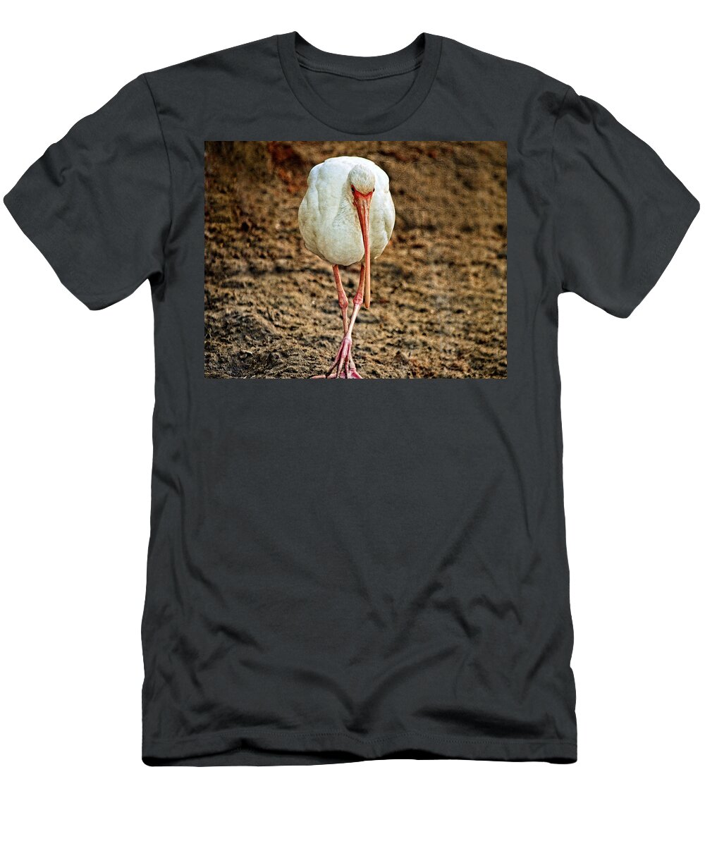 Wild Bird T-Shirt featuring the photograph Wild Bird Walking Towards Camera by Maggy Marsh