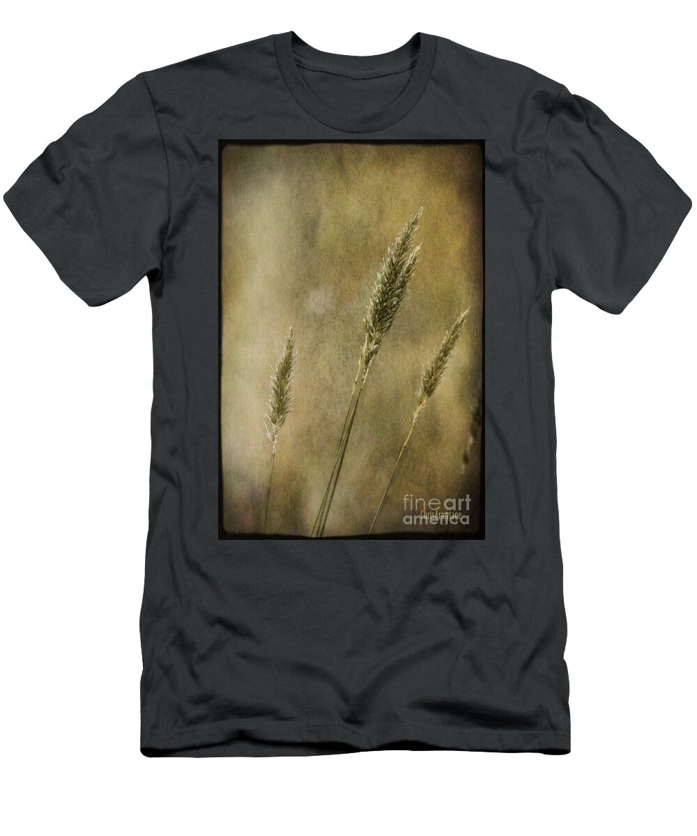 Grasses T-Shirt featuring the photograph Wild grasses by Chris Armytage