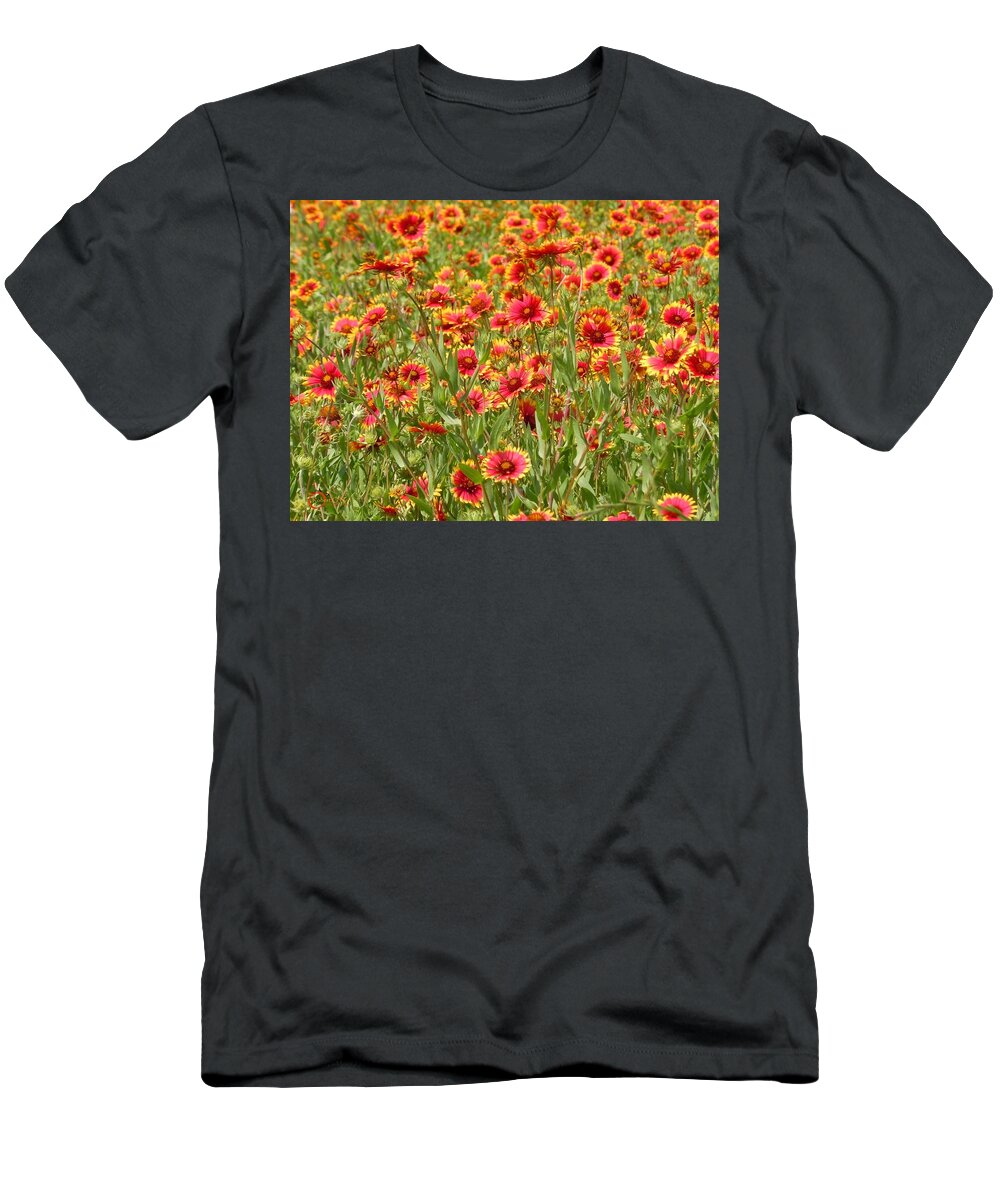 Wild Flower T-Shirt featuring the photograph Wild Red Daisies #1 by Robert ONeil