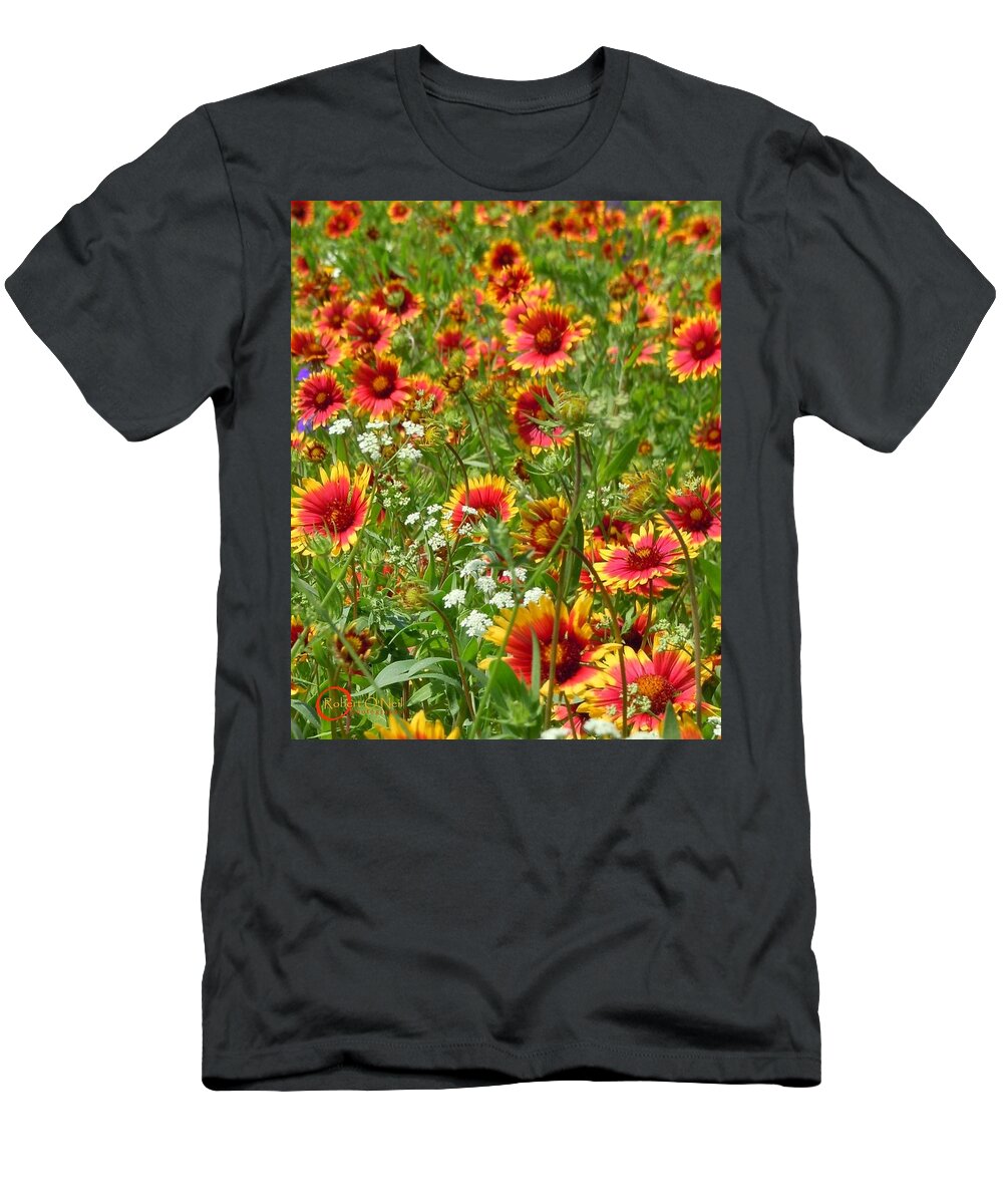 Wild Flower T-Shirt featuring the photograph Wild Red Daisies #2 by Robert ONeil