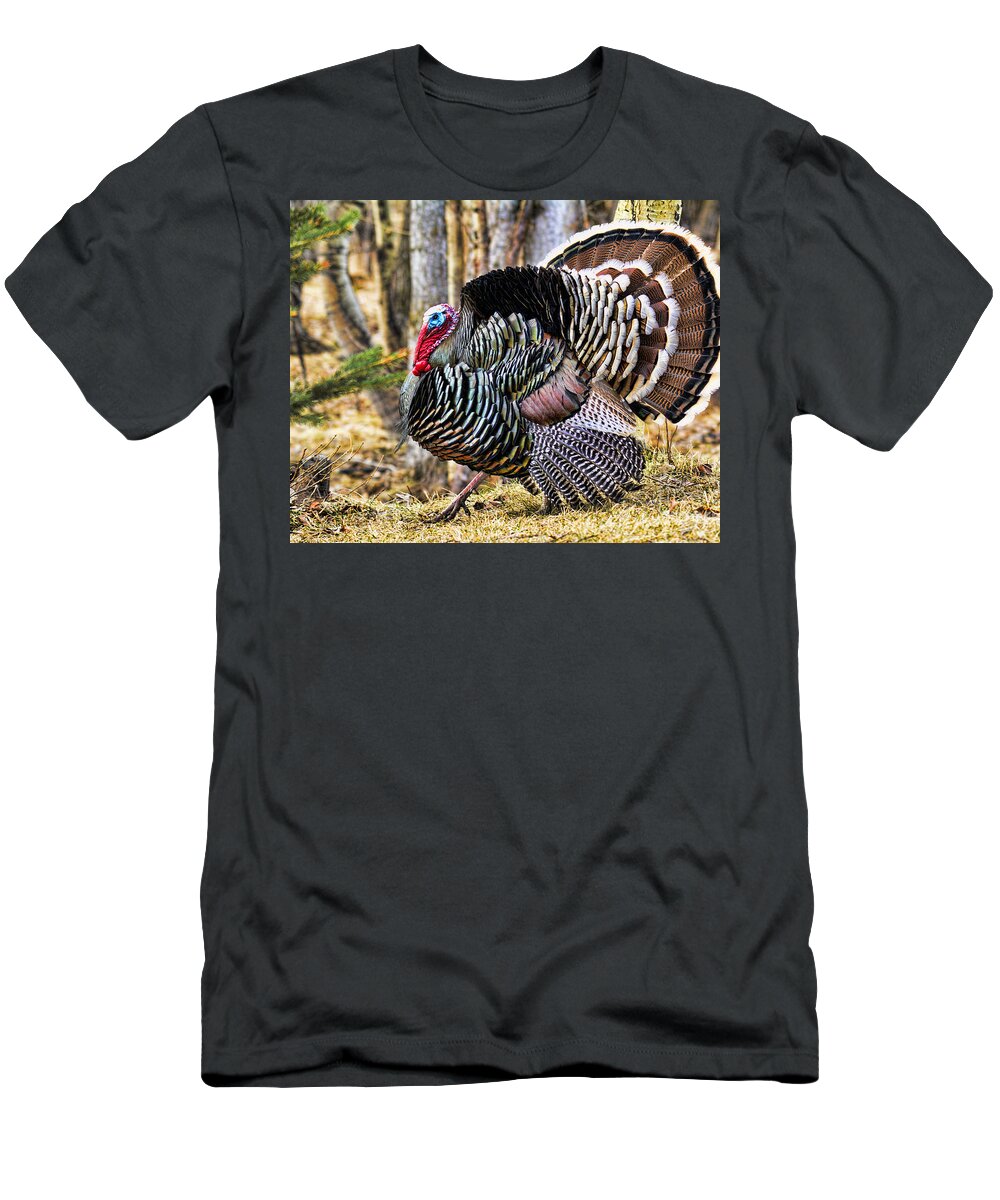 Wild Turkey T-Shirt featuring the photograph Wild Turkey by Gary Beeler