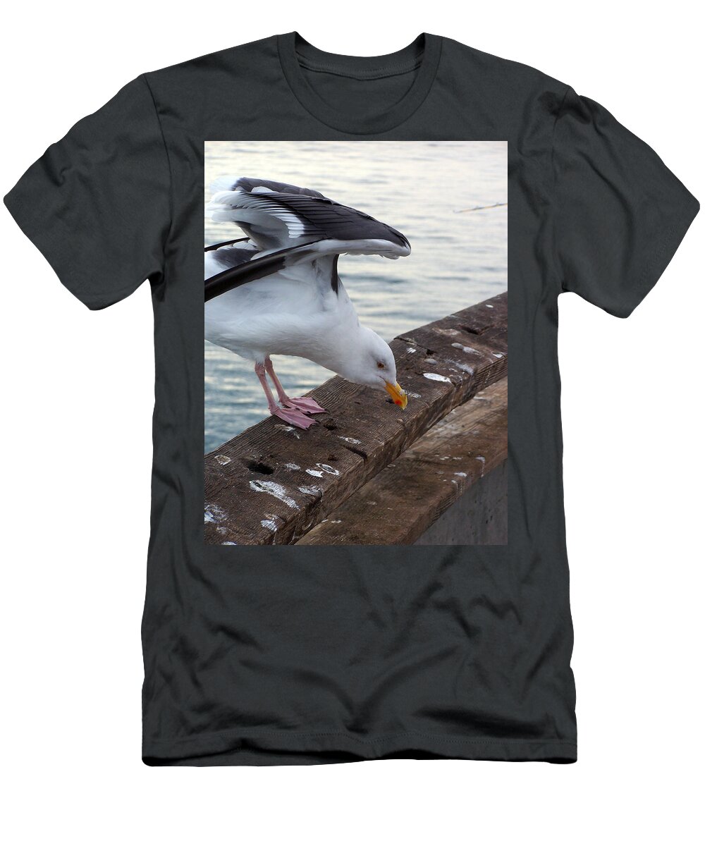 Wingman T-Shirt featuring the photograph Wingman by Jennifer Robin