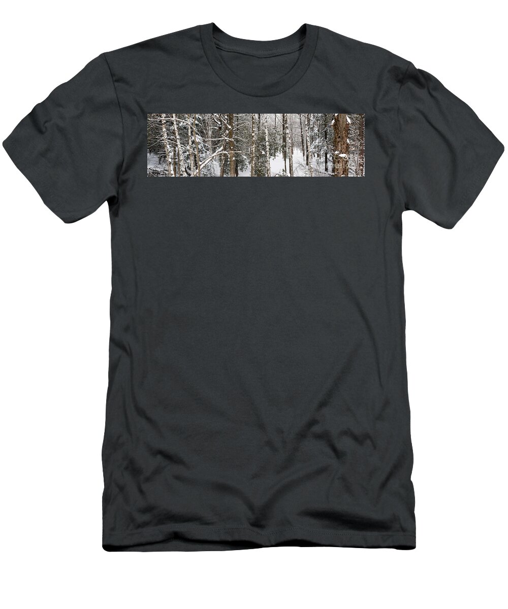 Forest T-Shirt featuring the photograph Winter forest landscape panorama by Elena Elisseeva