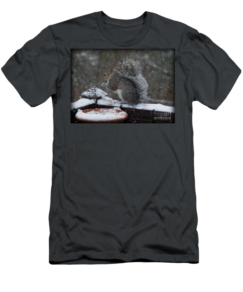 Sandra Clark T-Shirt featuring the photograph Winter Squirrel 3 by Sandra Clark