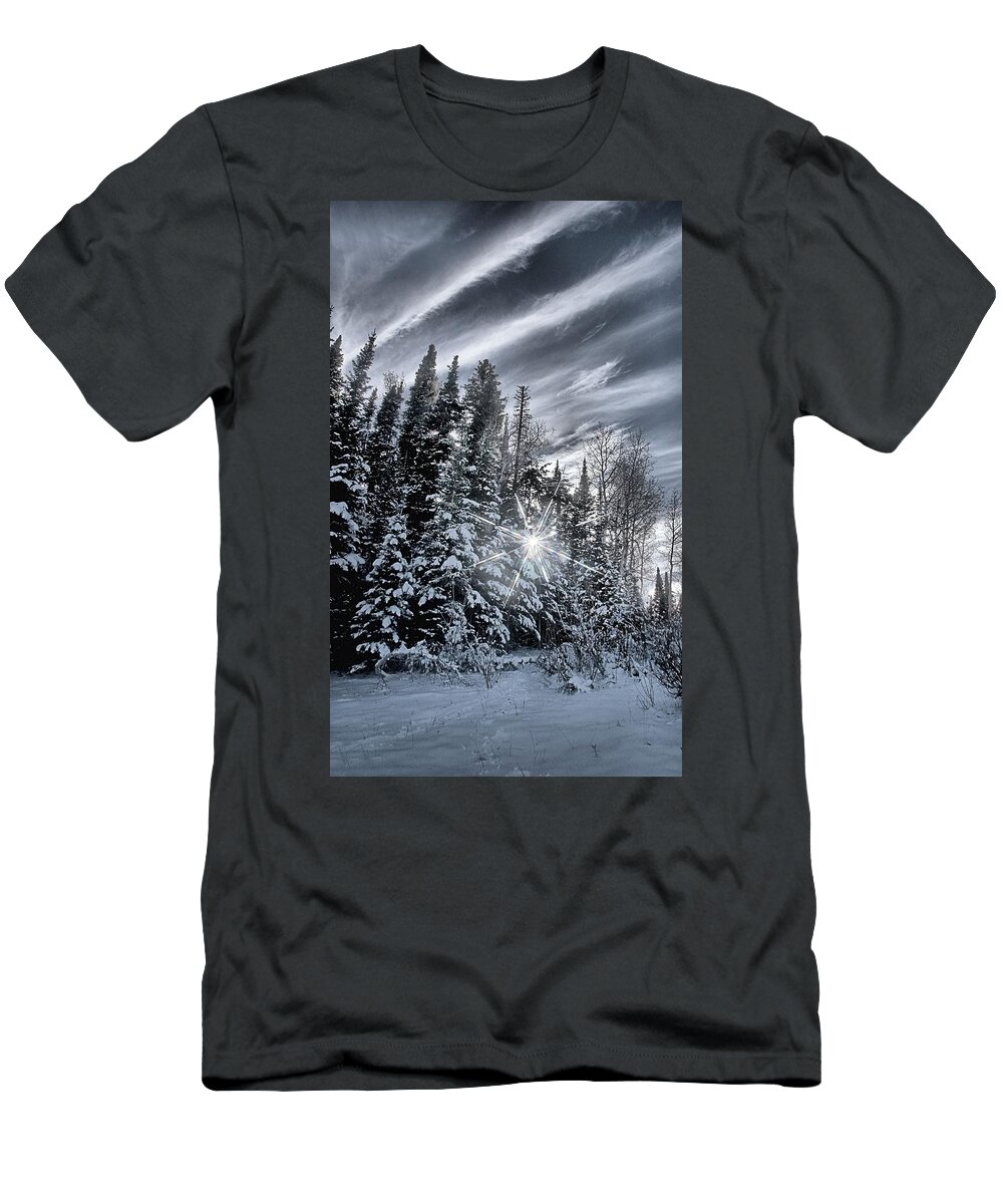 Star T-Shirt featuring the photograph Winter Star by David Andersen