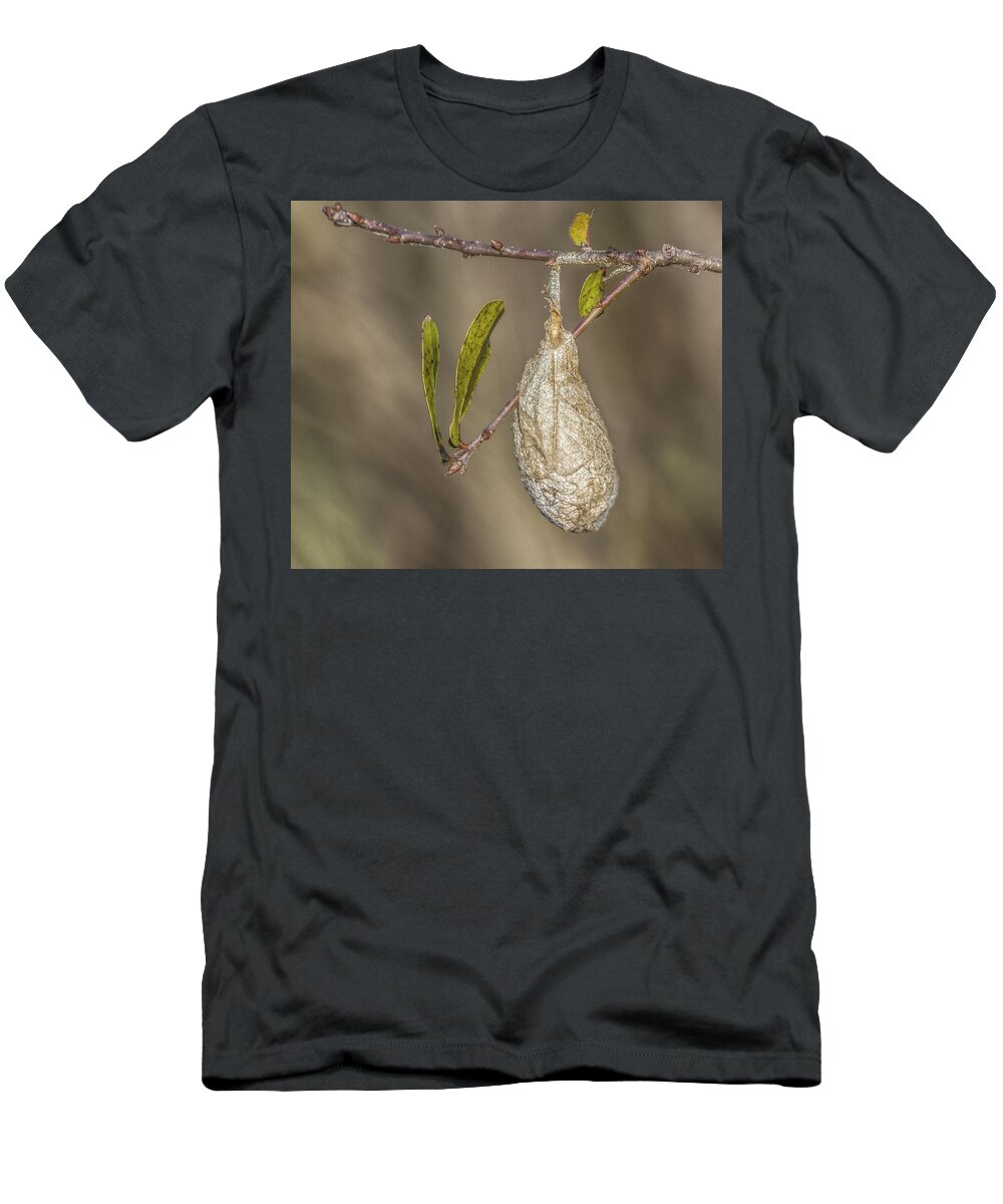 Florida T-Shirt featuring the photograph Wonder what's inside by Jane Luxton