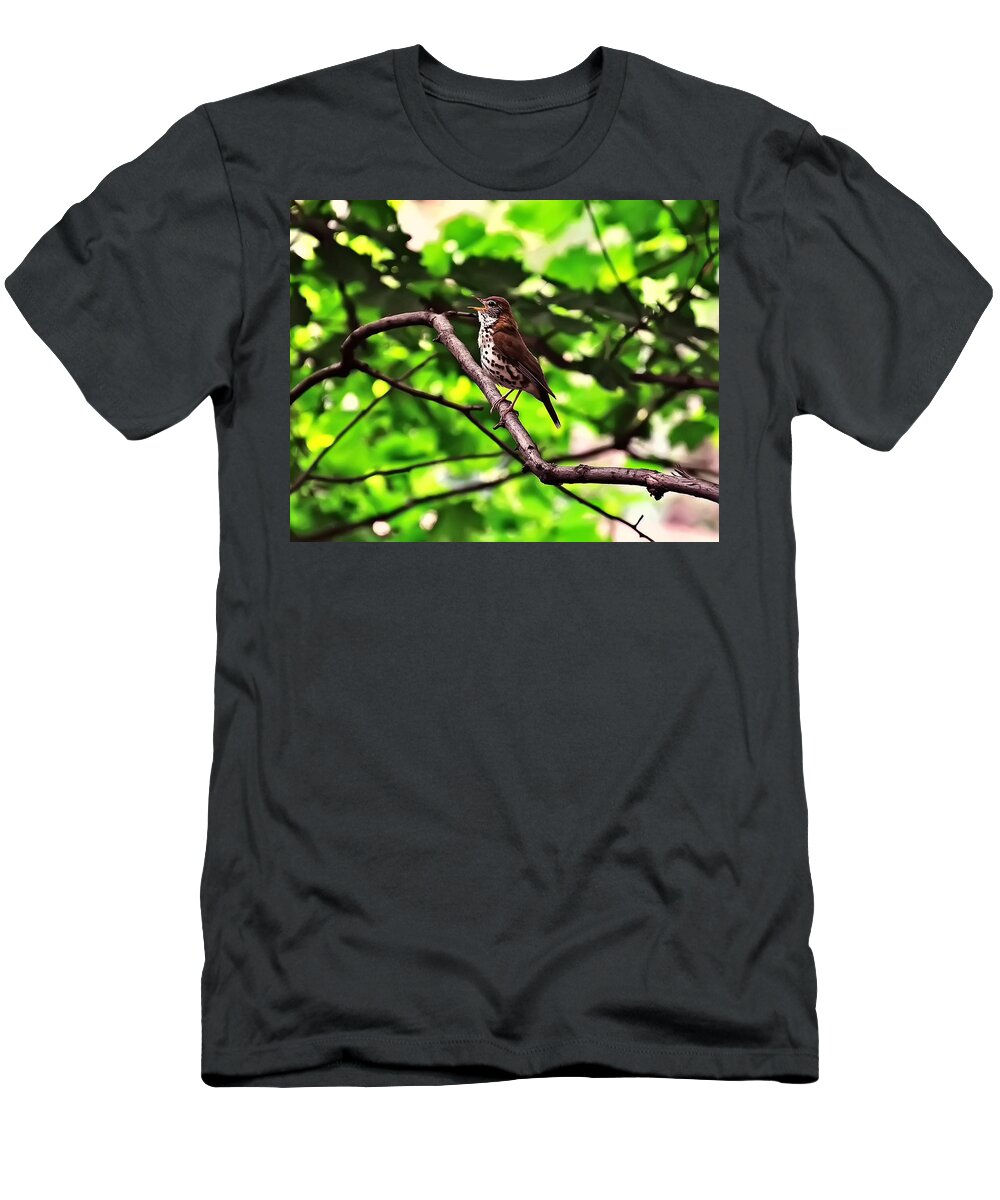 Bird T-Shirt featuring the photograph Wood Thrush Singing by Flees Photos