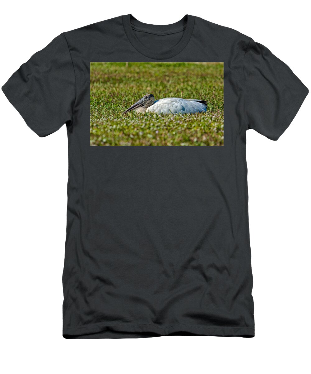 Birds T-Shirt featuring the photograph Woodstork Lazing in the Park by John M Bailey