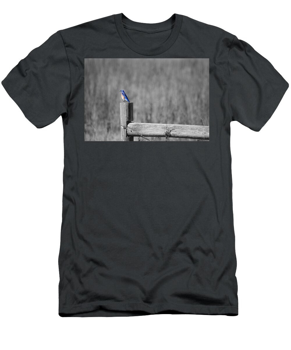 Birds Are Among My Favorite Critters To Photograph. This Little Blue Bird Looked So At Peace. And It Put Me At Peace T-Shirt featuring the photograph World of Blue by Spencer Hughes