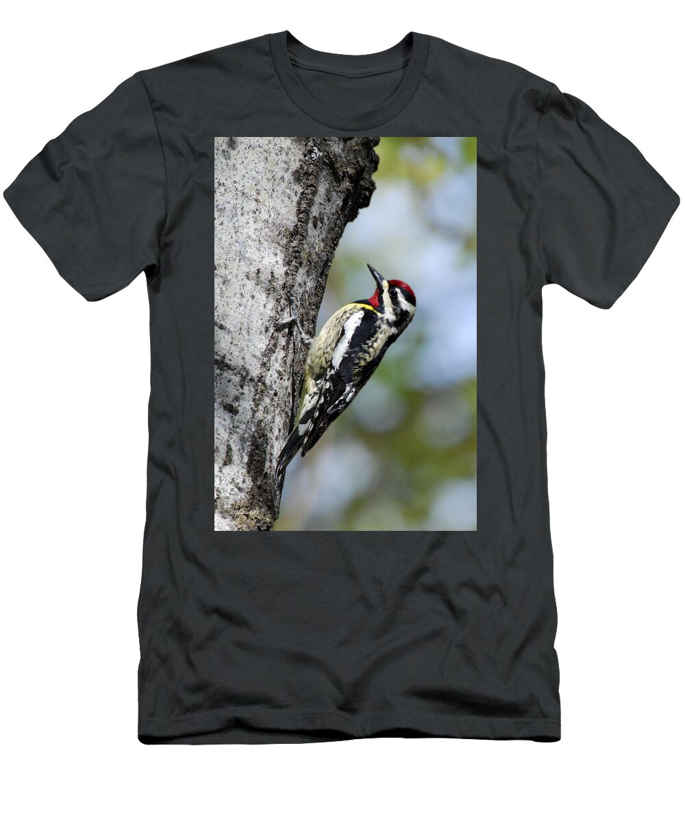 Bird T-Shirt featuring the photograph Yellow Bellied Sapsucker by Christina Rollo