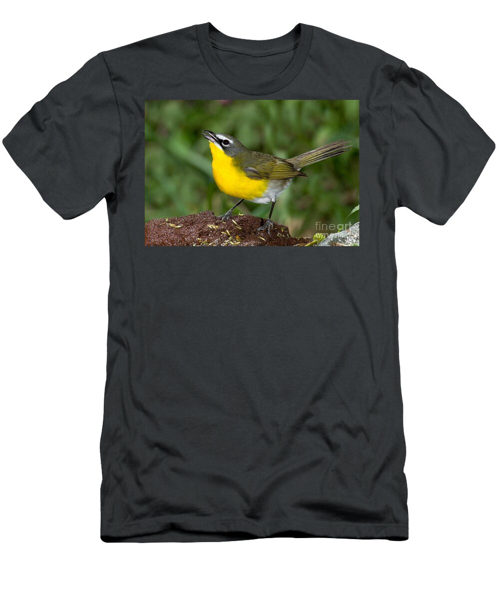 Yellow-breasted Chat T-Shirt featuring the photograph Yellow-breasted Chat by Anthony Mercieca