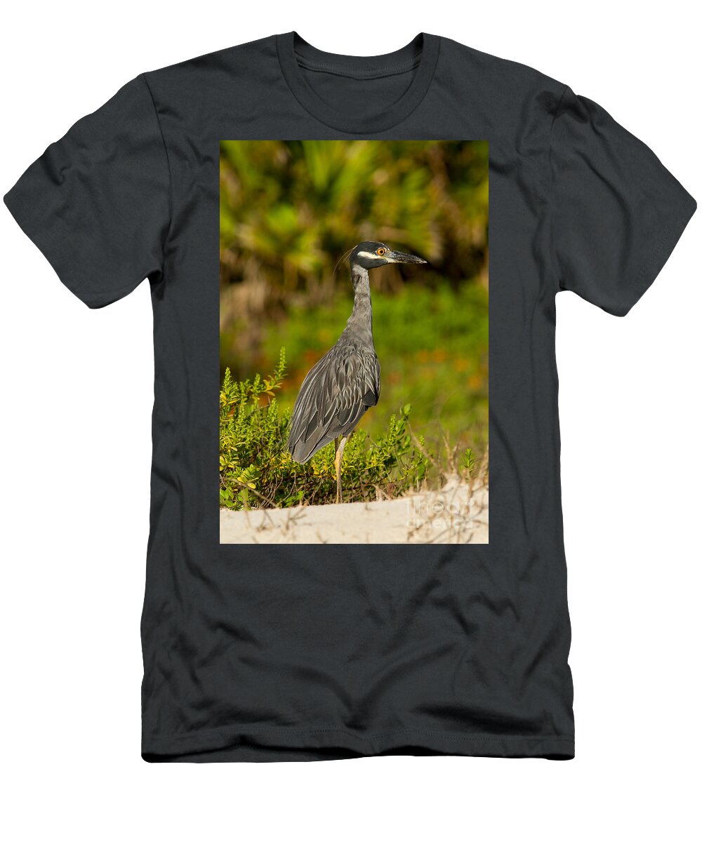 Yellow-crowned Night-heron T-Shirt featuring the photograph Yellow Crowned Night Heron Dune Watch by Paul Rebmann