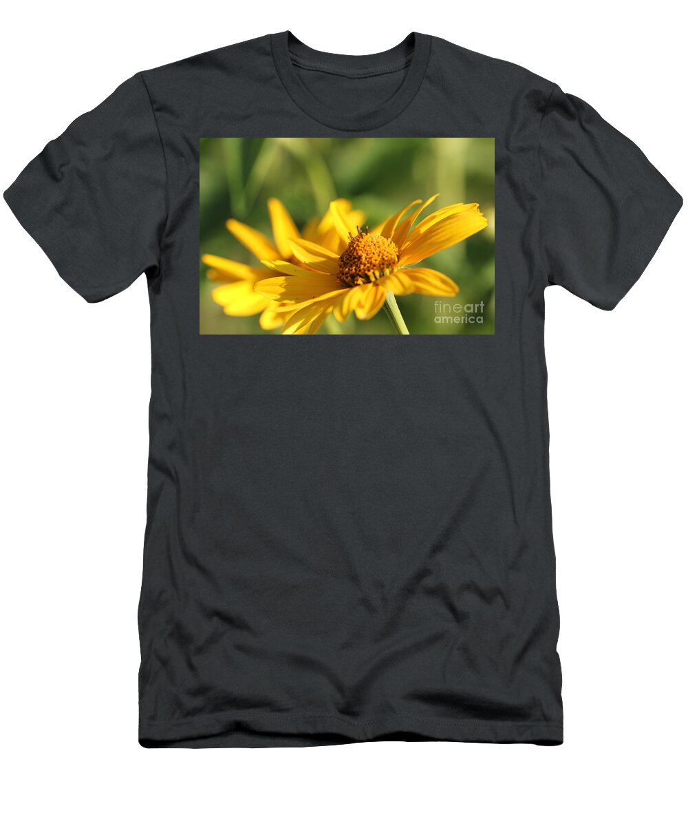 Blossom T-Shirt featuring the photograph Yellow Flower by Amanda Mohler